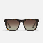 DARK TORT/BROWN POLARIZED