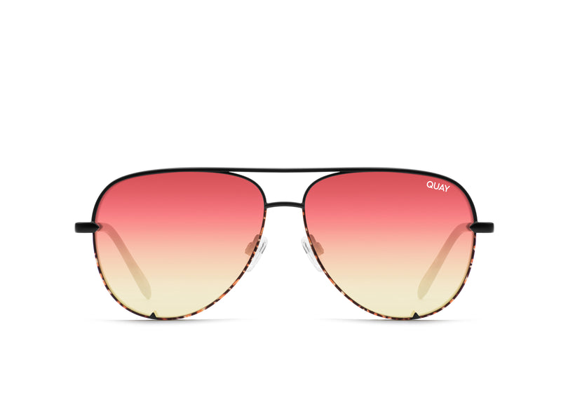 BLACK TORTOISE/CORAL