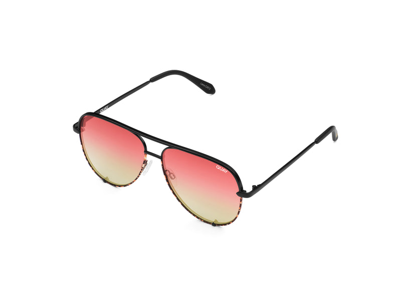 BLACK TORTOISE/CORAL